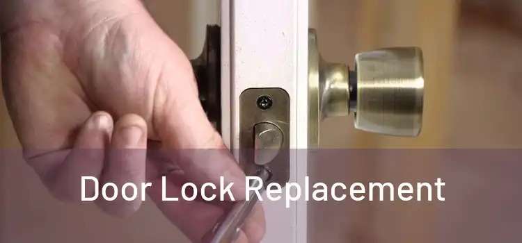  Door Lock Replacement 